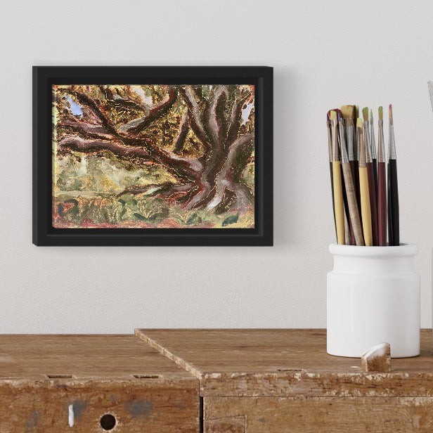 “Tree in Victoria Park, Auckland”