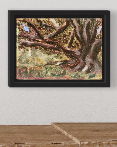 “Tree in Victoria Park, Auckland”